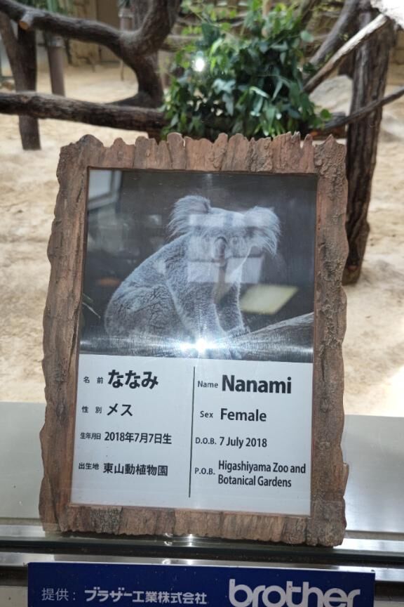 ななみさん