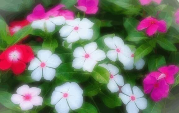 出勤です☆