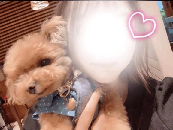 次の出勤&#127872;