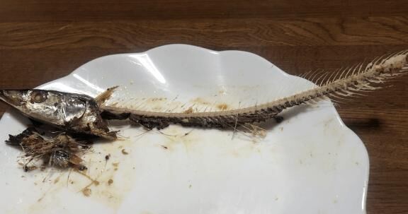 綺麗に食べれますか？