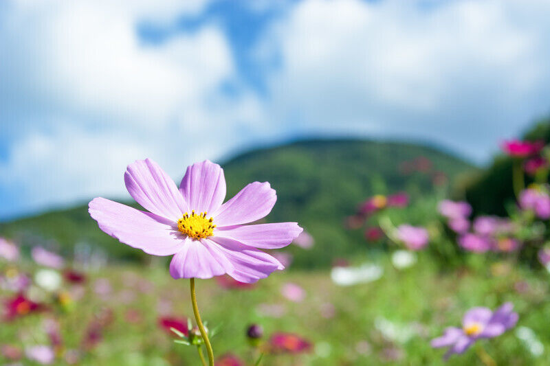 27日(土)　&#9825;様