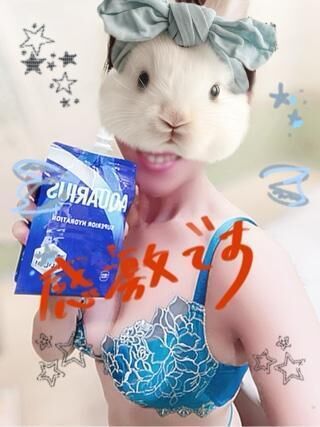 出勤感謝です