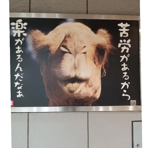 ☆人生楽あれば苦あり☆
