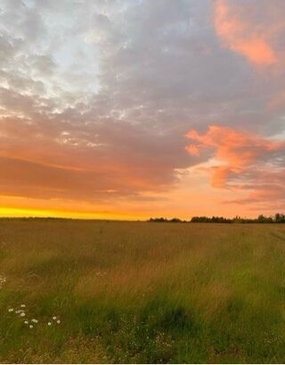 おはようございます