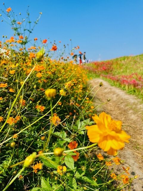 おはよう(*´-`)