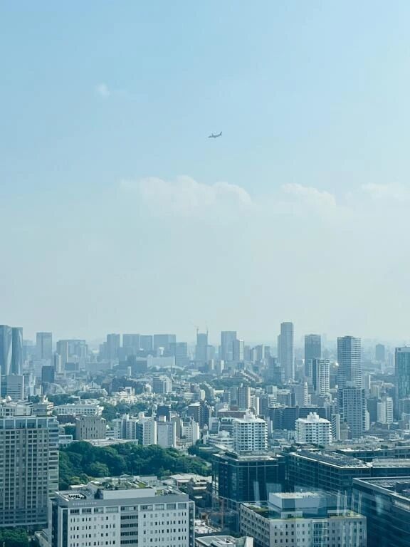おはようございます