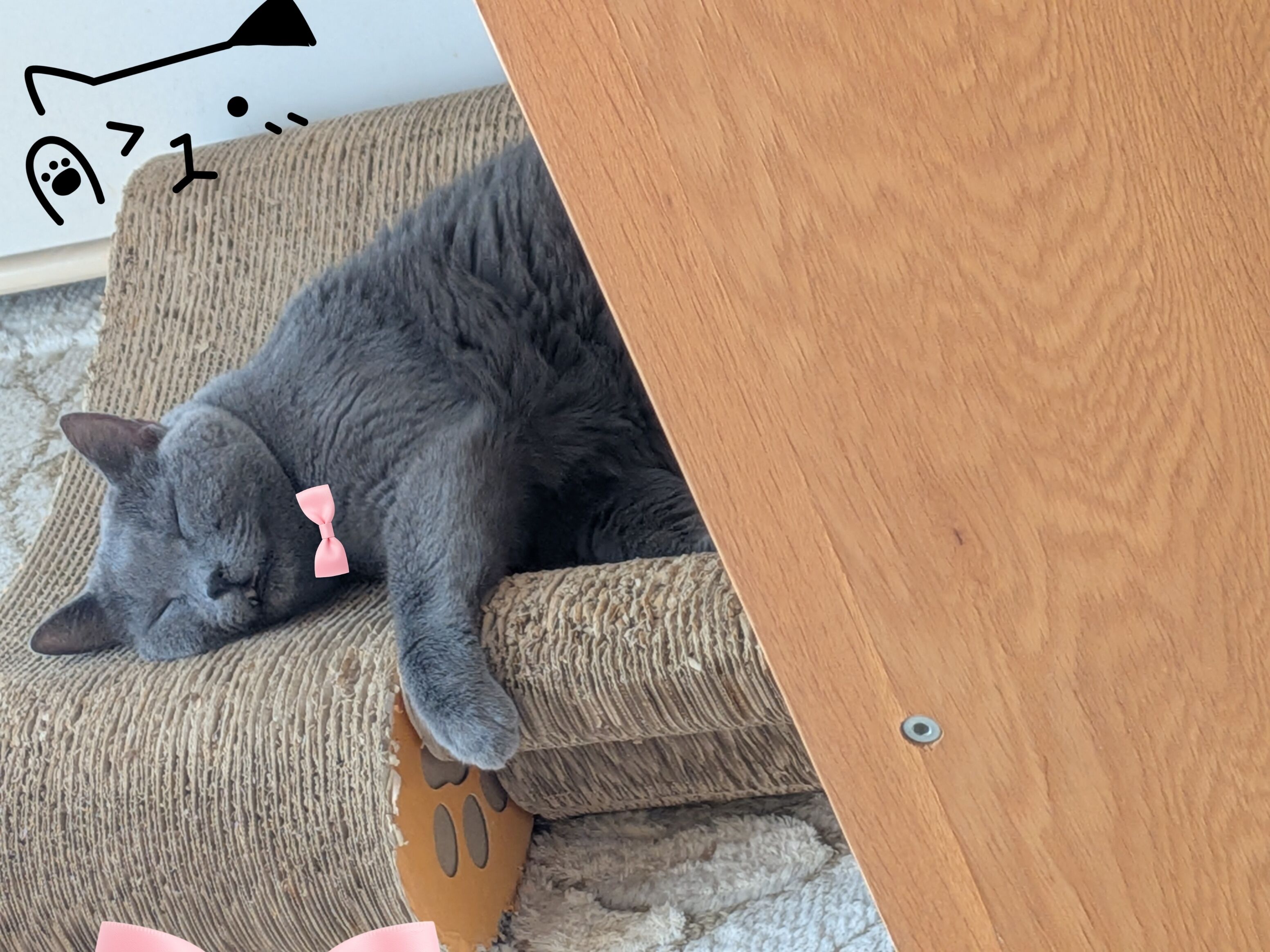 おはようございます