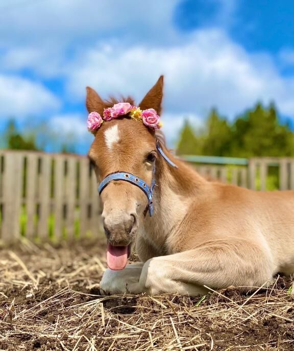 (  &#9825;&#9825;&#9825;&#9825;)