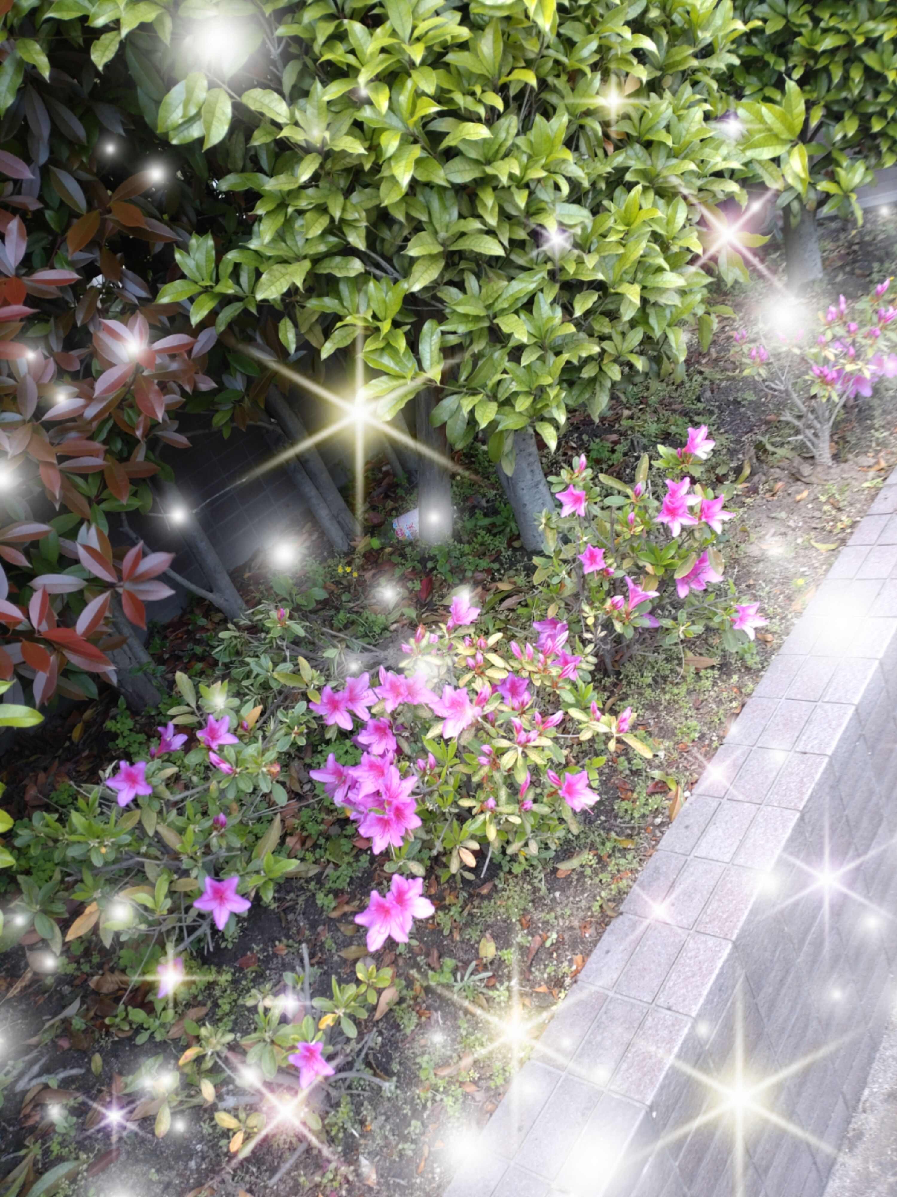 　ゆっくりします