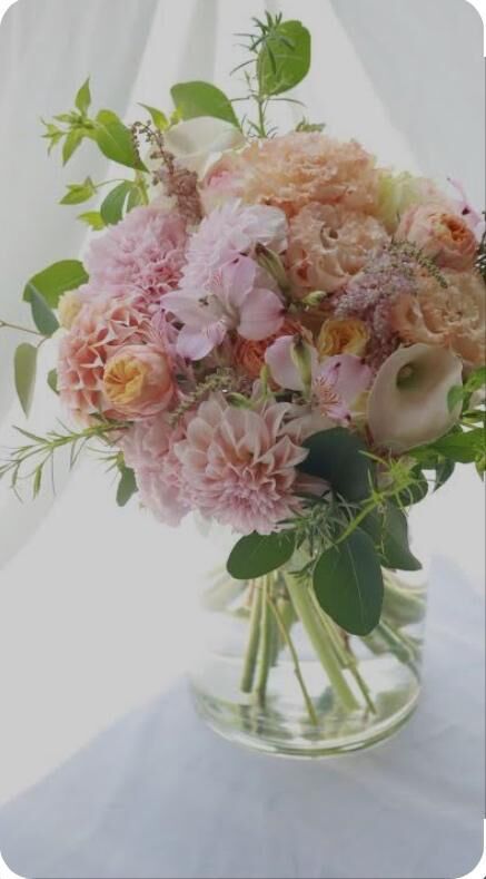 [お題]from:ガリガリ君さん