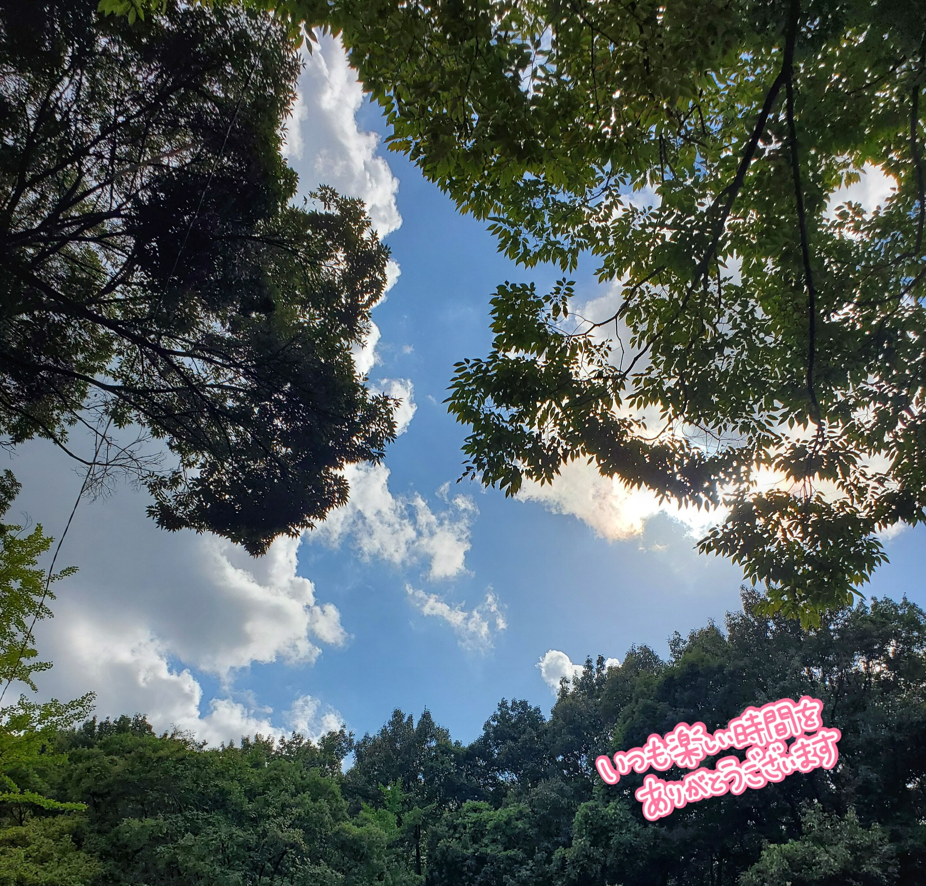 こんにちわ&#9825;