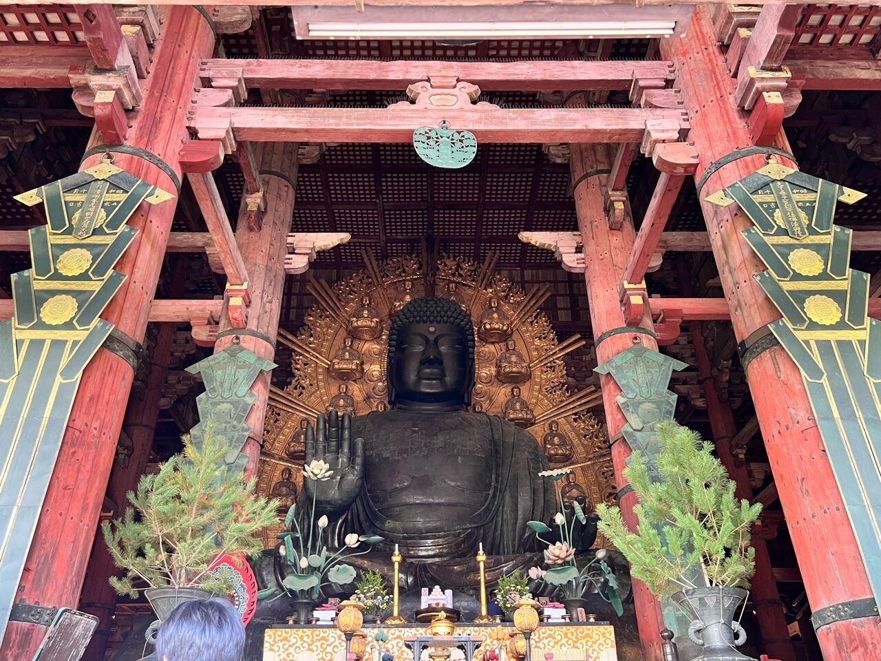 新しいblog始めました!!