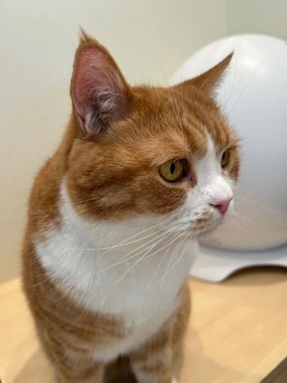 かわいい子&#127872;