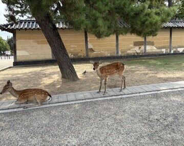 初めましてのFさま