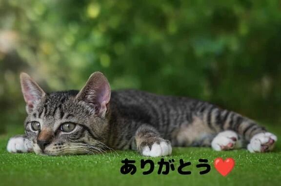 昨日のお礼です&#128536;