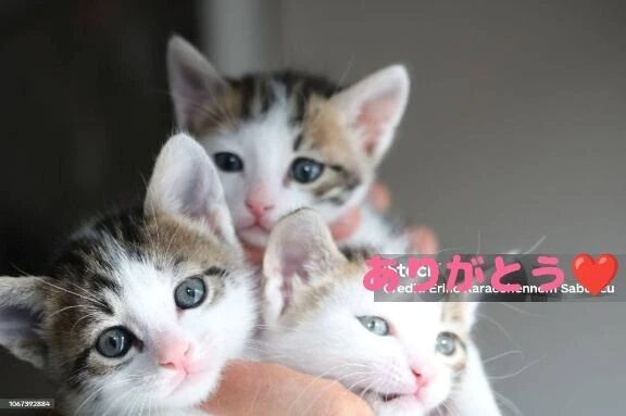 昨日のお礼です&#128536;