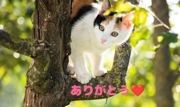 昨日のお礼です&#128536;