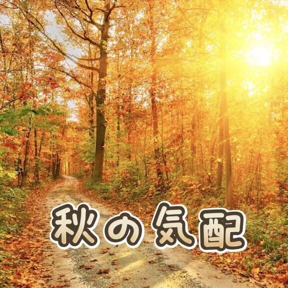 お疲れ様です。