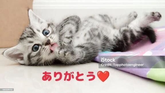 昨日のお礼です&#129392;