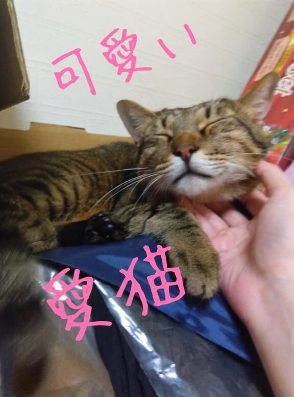 出勤してます
