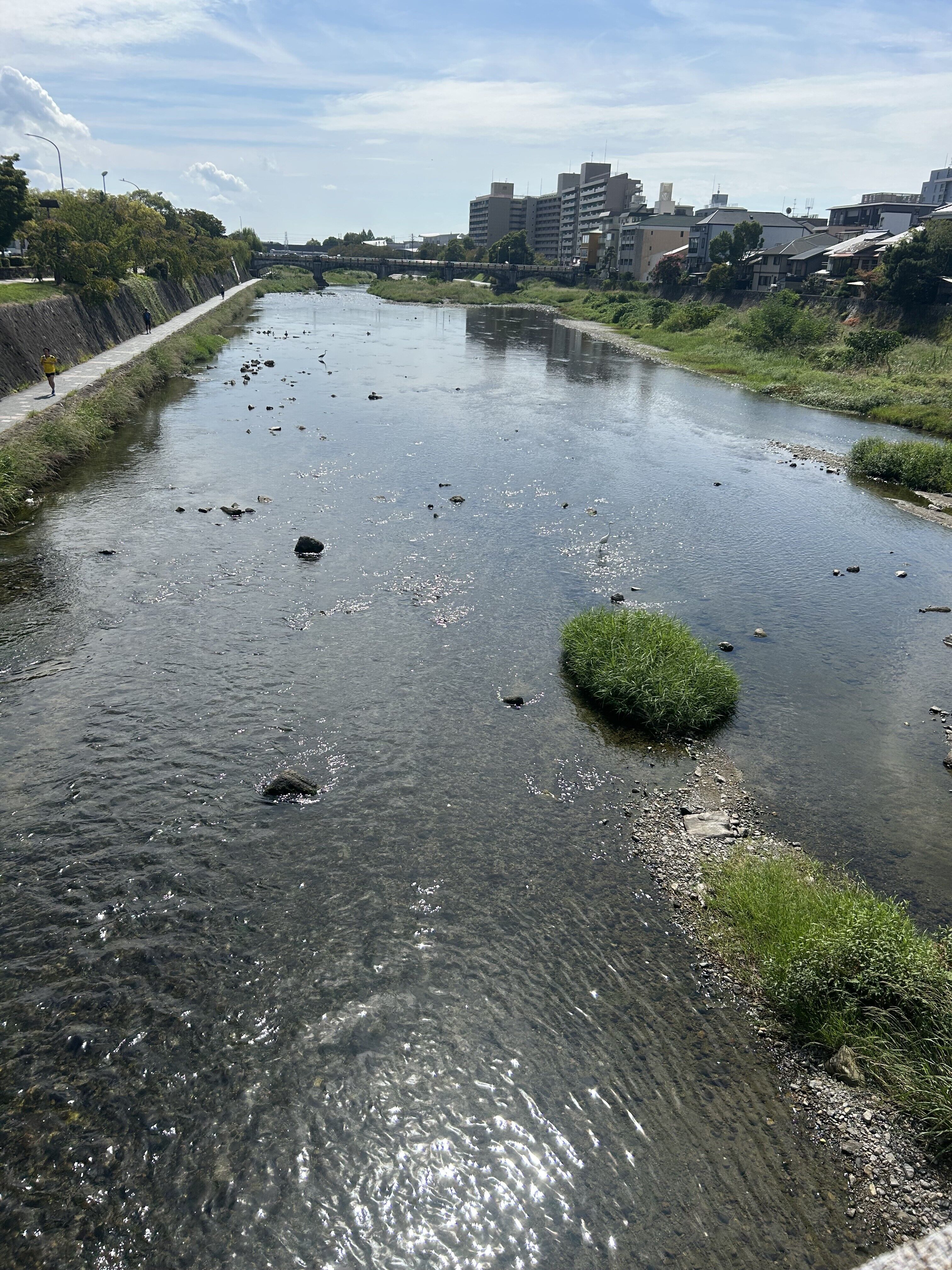 ただいまぁ