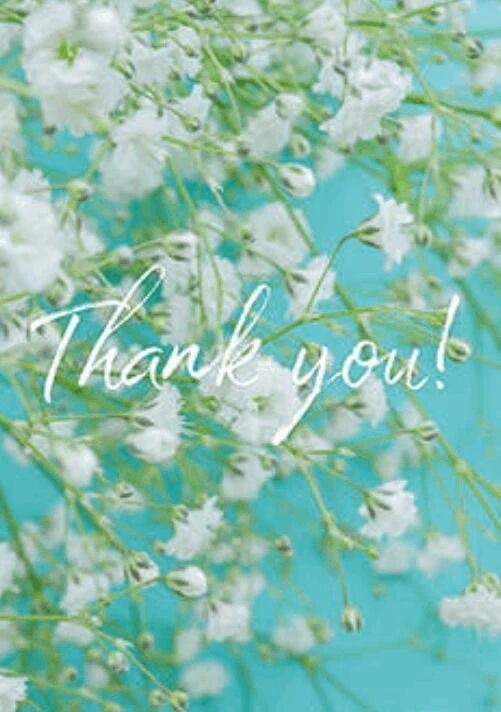 ✨16日みたよ♪の女の子会員の皆様✨