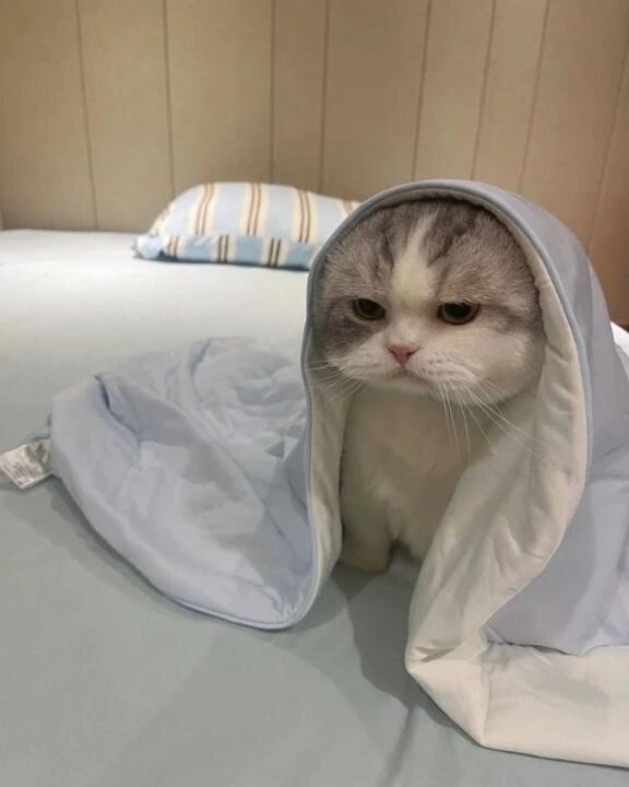 おやすみなさい