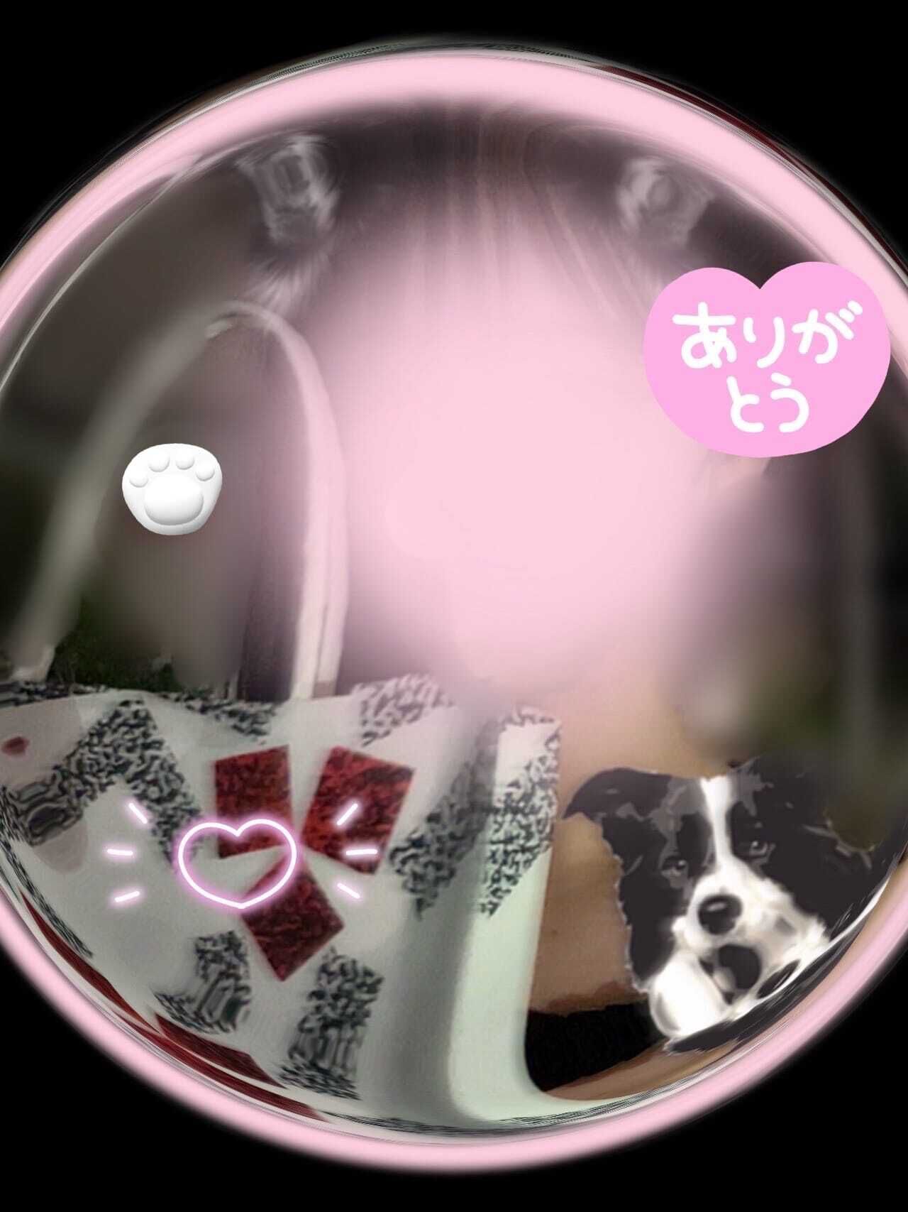 28日完売御礼♡