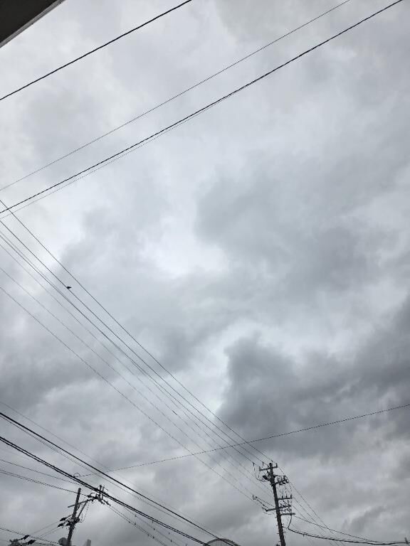 おはようございます！