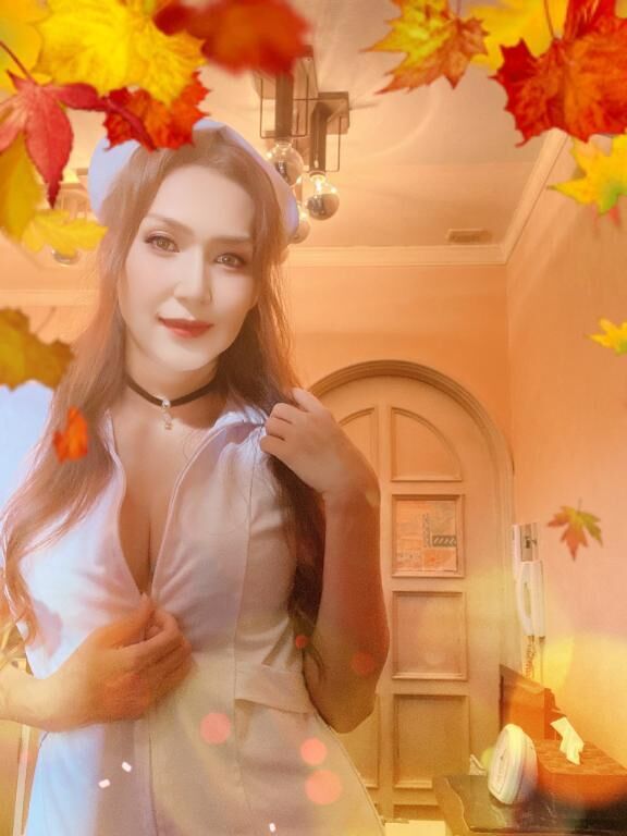 姫予約受付中