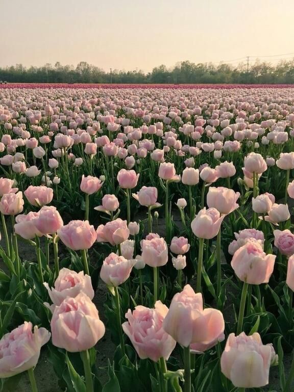 夜います&#9752;