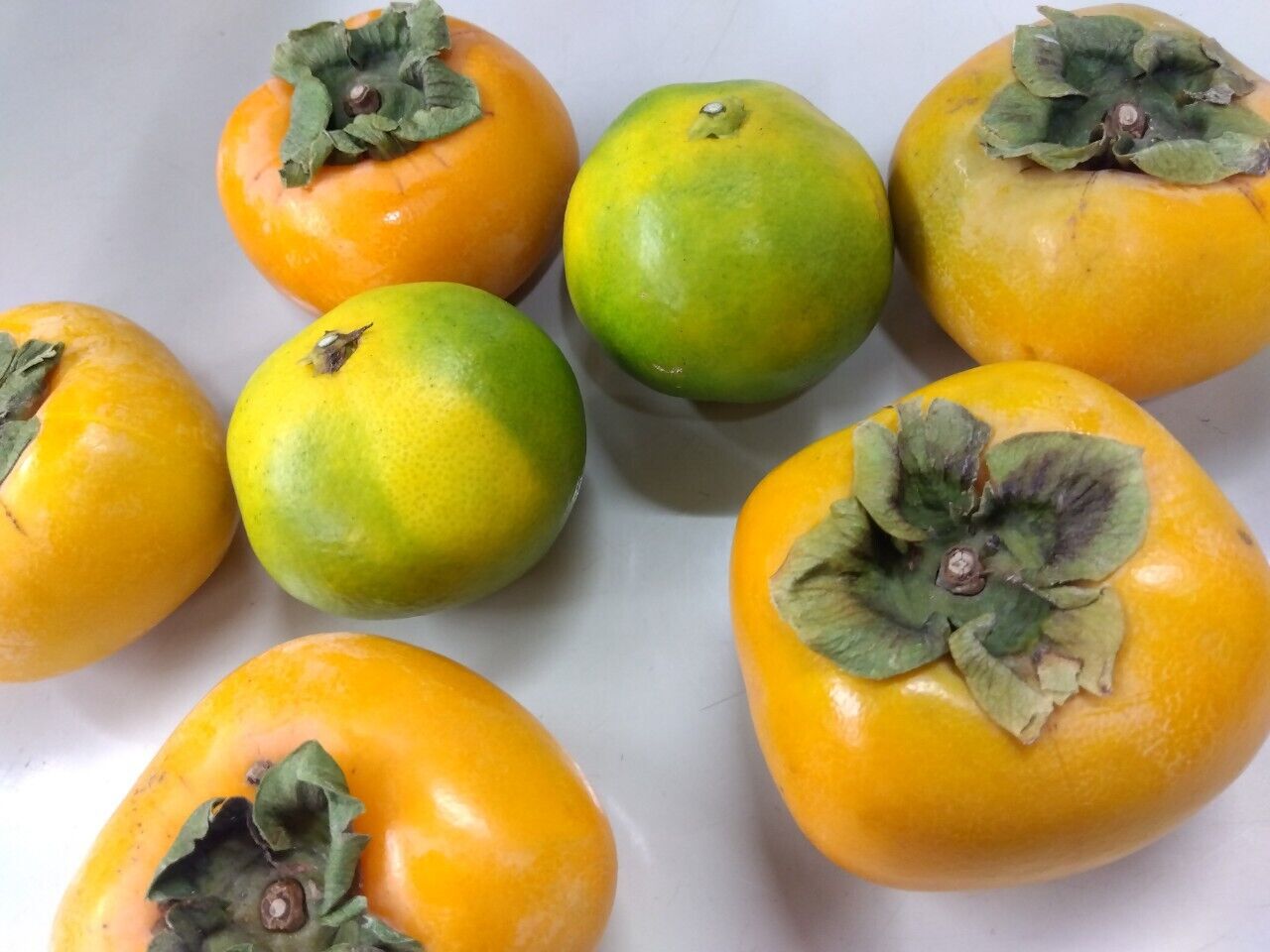甘いみかんもいいけど、極早生みかん酸っぱくて好きー&#127818;みかんは、甘い派？？栗も食べたーい&#127809;&#127792;