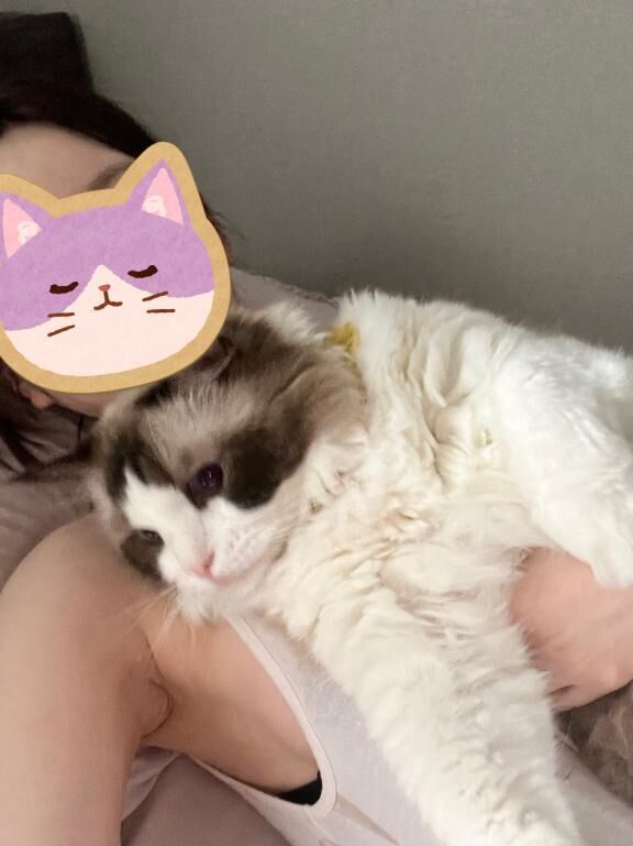つや