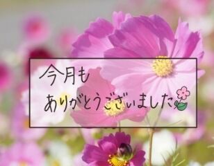 この場をお借りして(●´ω`●)