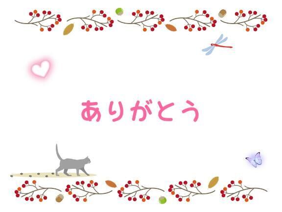 今日のお礼と明日♪(少しお知らせも)