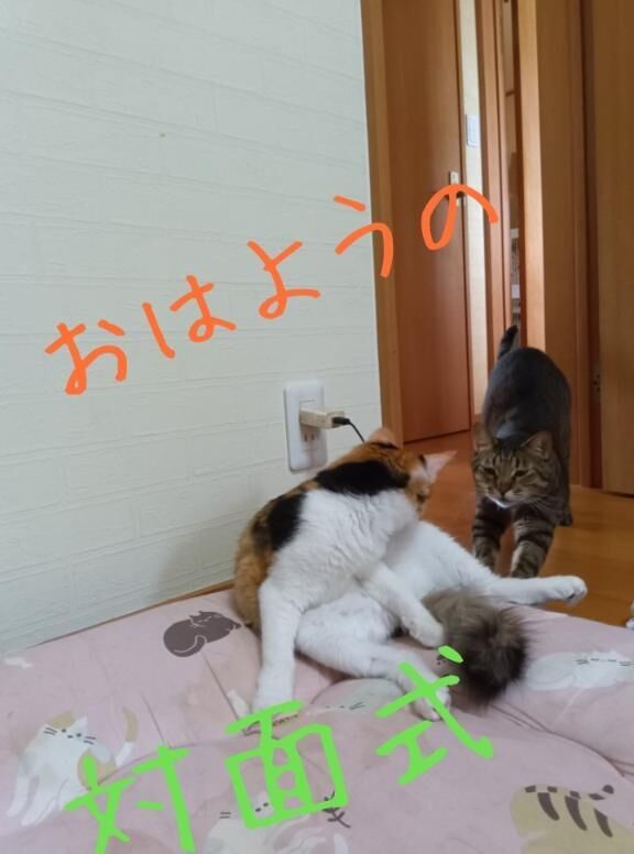 出勤しましたぁ