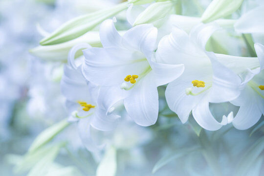 29日(月)　14時　&#9825;様