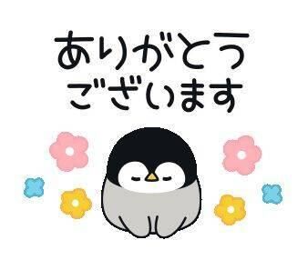 本日のお礼&#128578;&zwj;&#8597;&#65039;