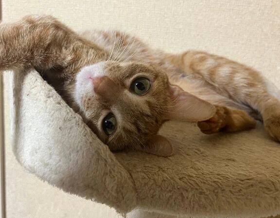 寝坊しないよう