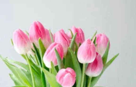 バリシアン205 Ｉ様&#128147;