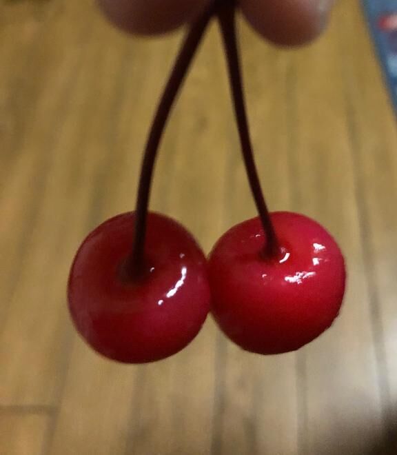 おはようございます