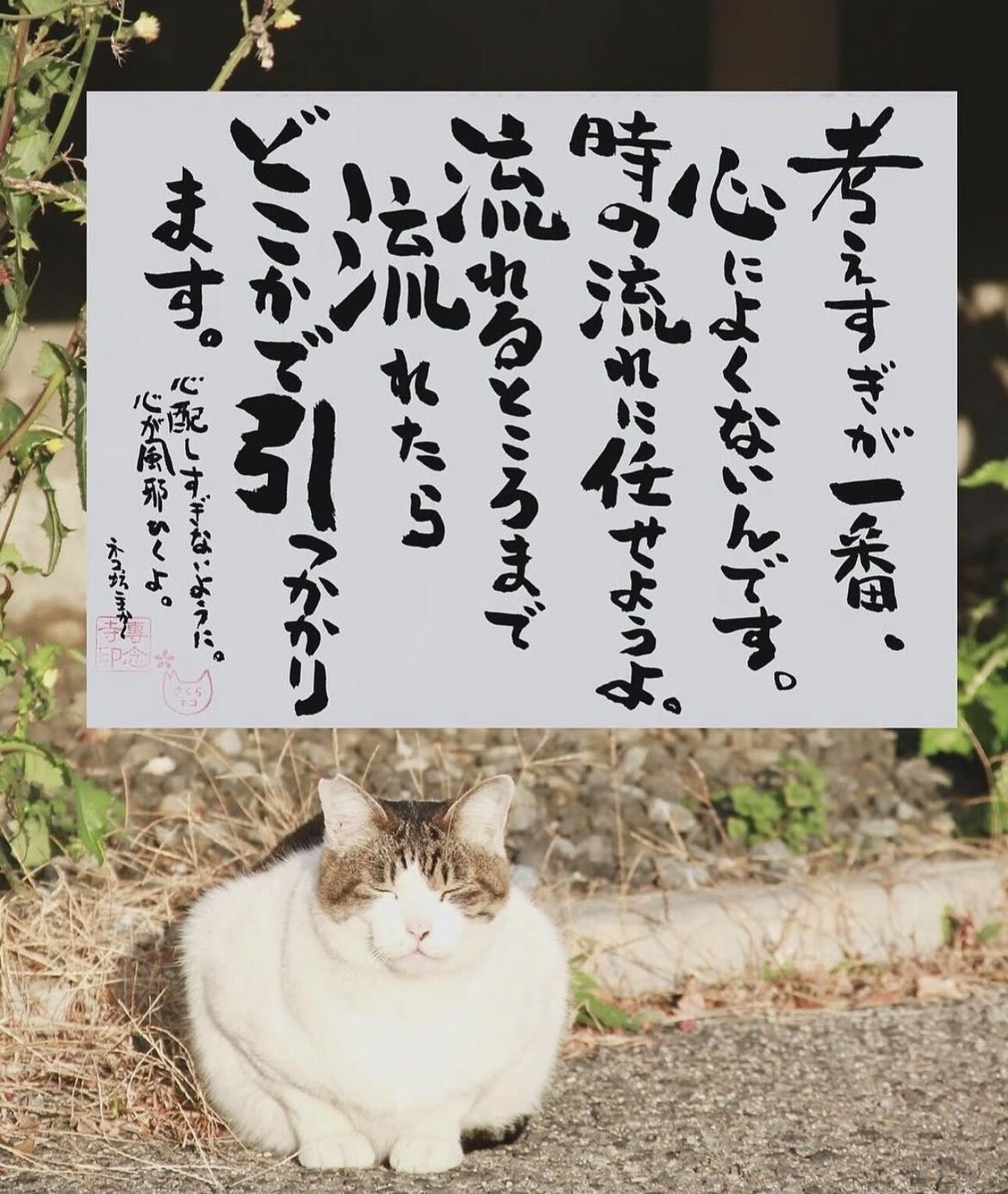 おはようございます