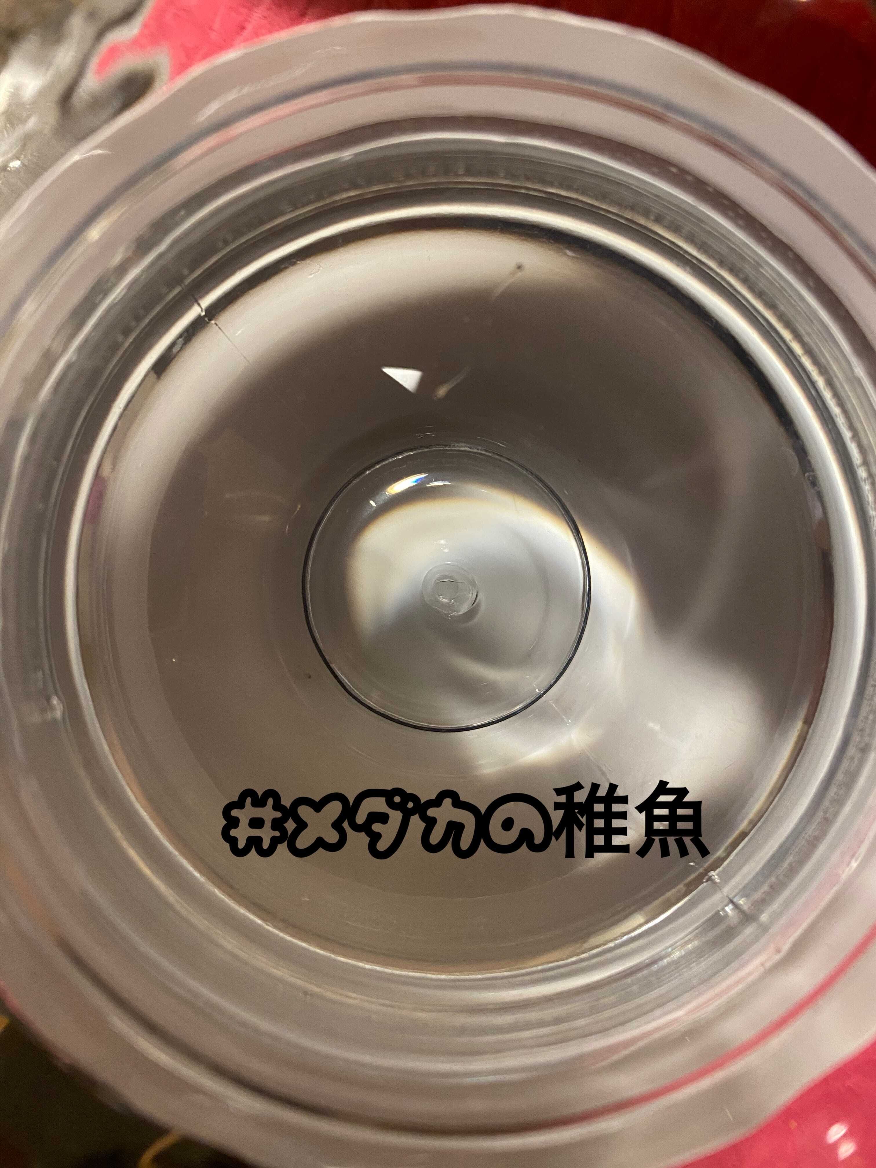 食欲の秋より性欲の秋