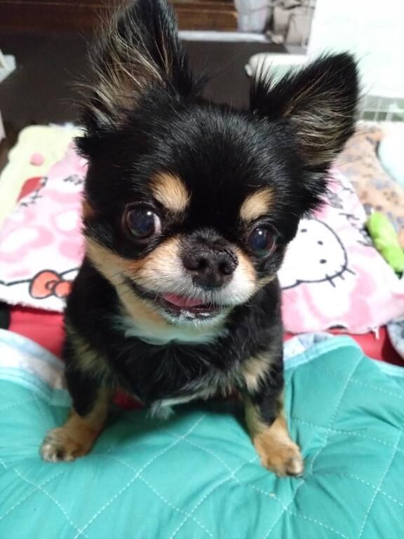 &#9825;&#9825;母から届いた写真&#9825;&#9825;