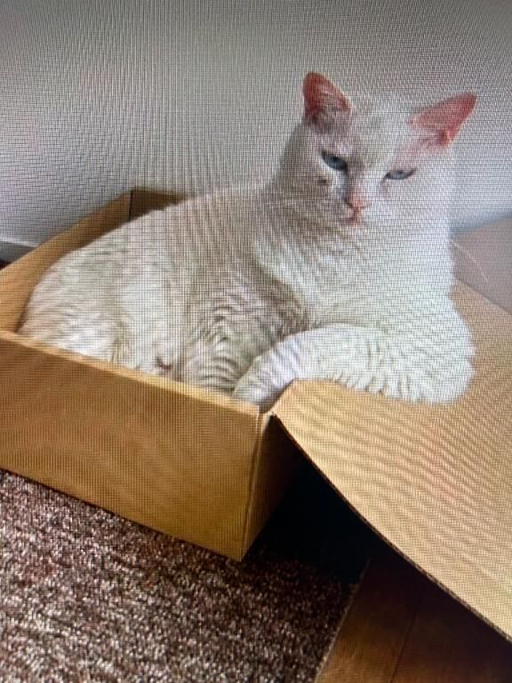 ノーハンドフィニッシュ　とか