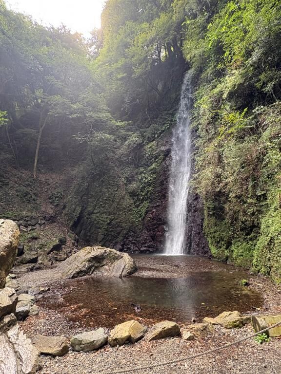 またまた来ちゃった♪