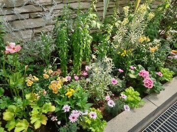 ２９日月曜　Ｏ様　Love letter