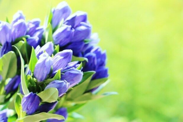 30日(火)　11時10分　&#9825;様