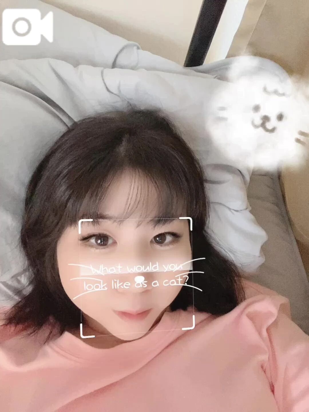 &#128049;何猫に似てる？&#128049;