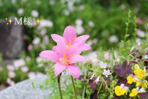 お礼状